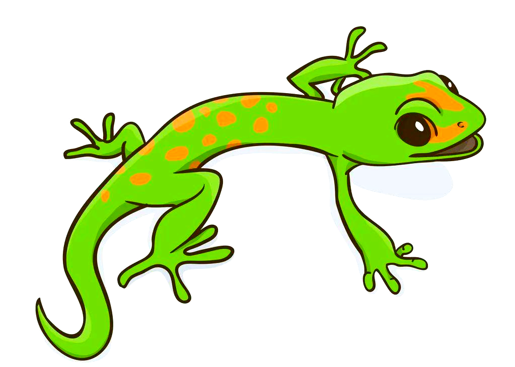 壁虎断尾后为何能再生?揭秘其中的原因