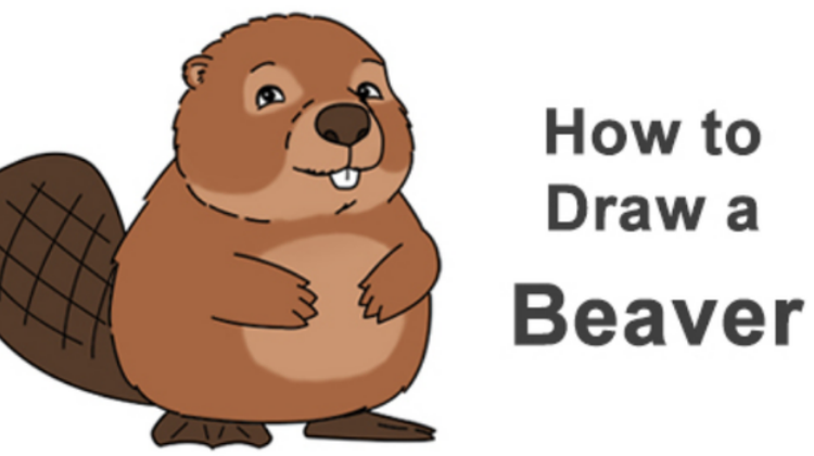 beaver是什么动物