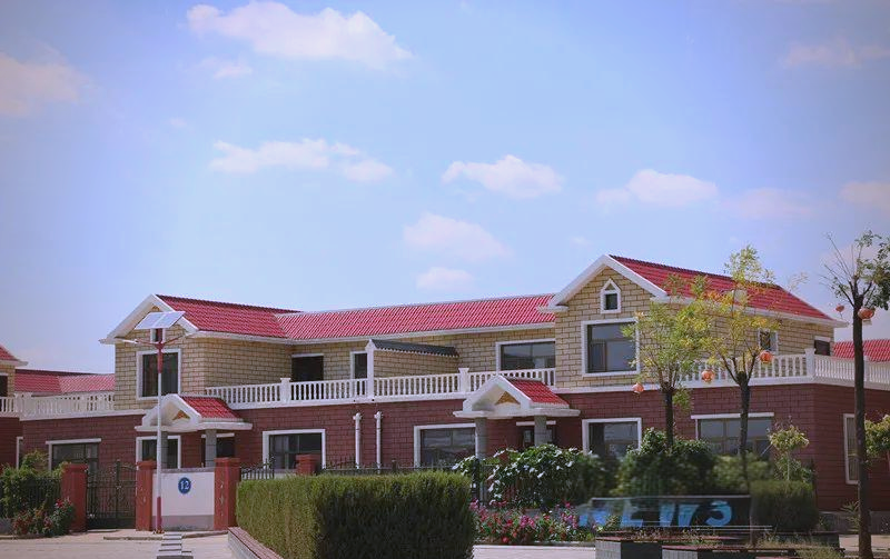 大保当镇工业与特色产业齐飞,乡村生活新气象