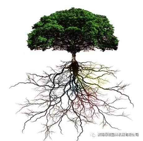 影响根系生长的因素——只需三招让园林植物生长健壮