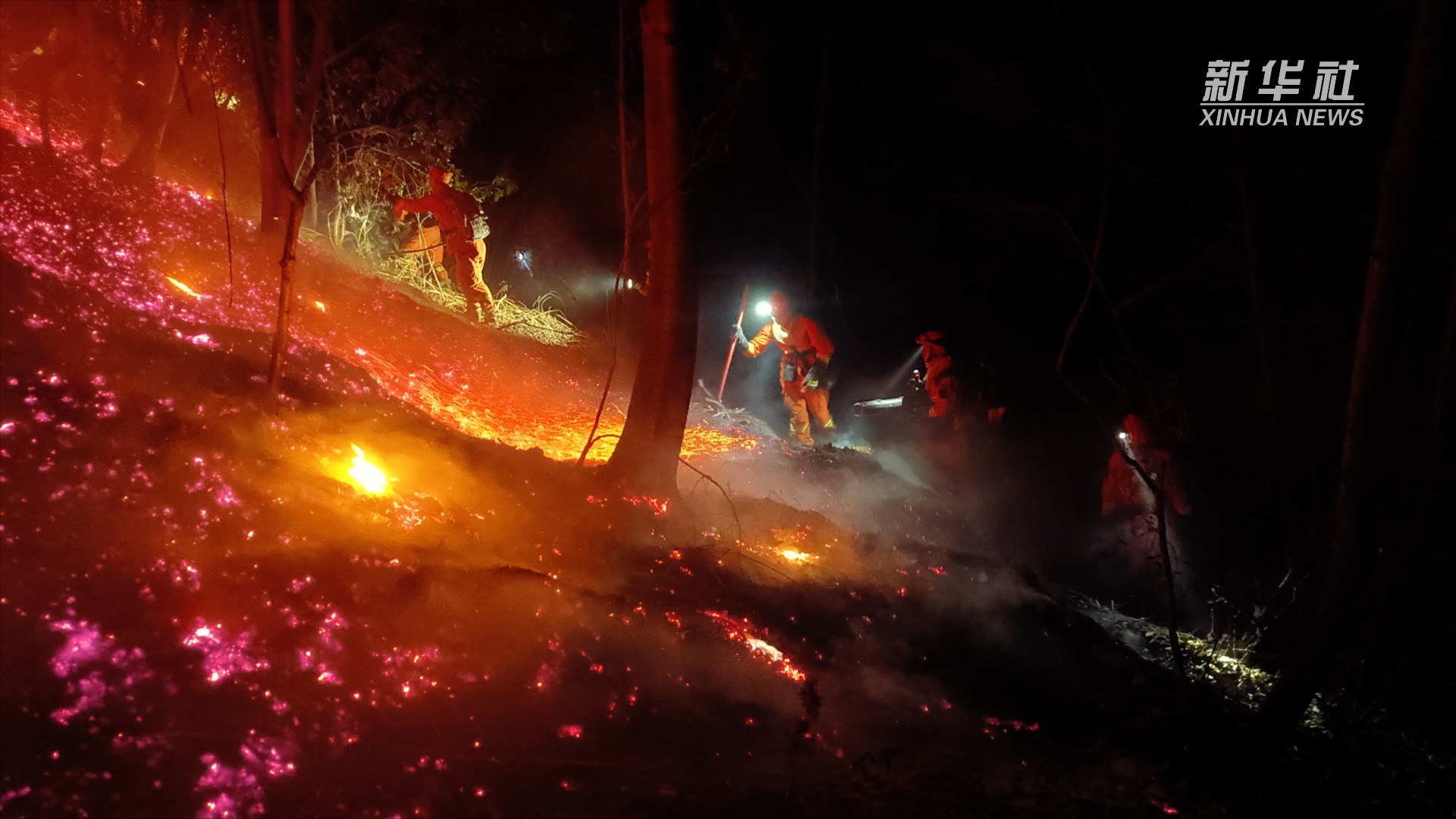 热点快追|贵州发生多起森林火灾 消防人员奋力救援