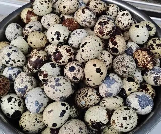 广州婆婆传授秘籍之广式猪脚姜:纯正西北臊子面