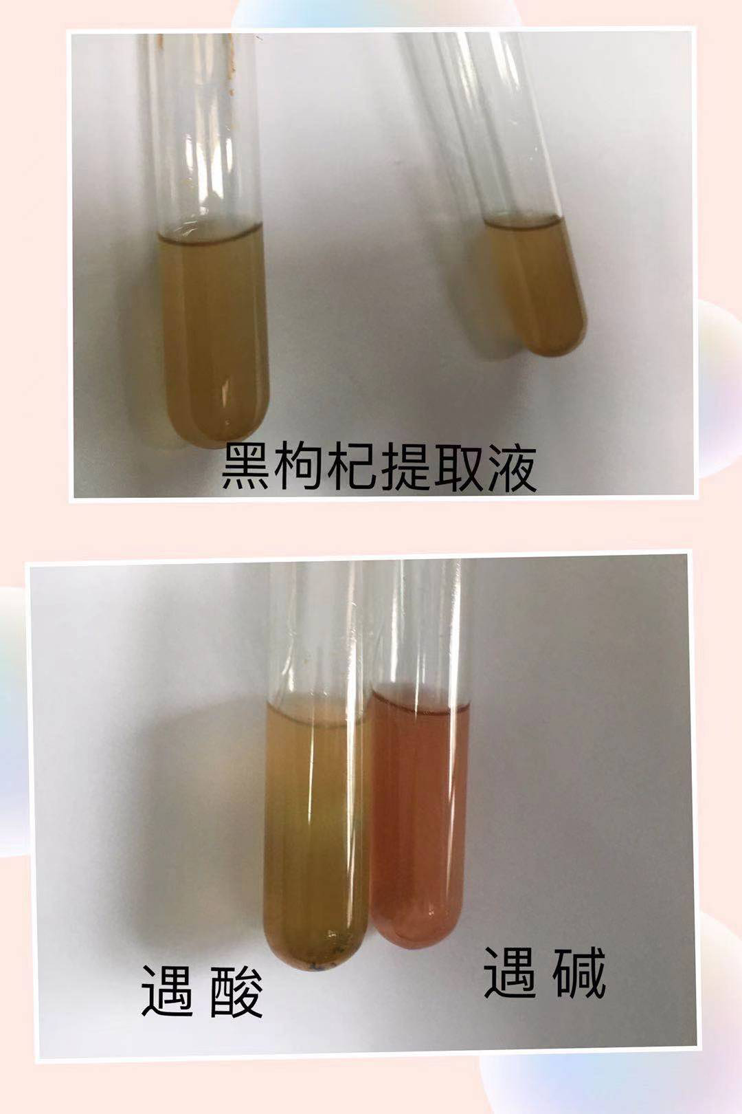 自制酸碱指示器图片