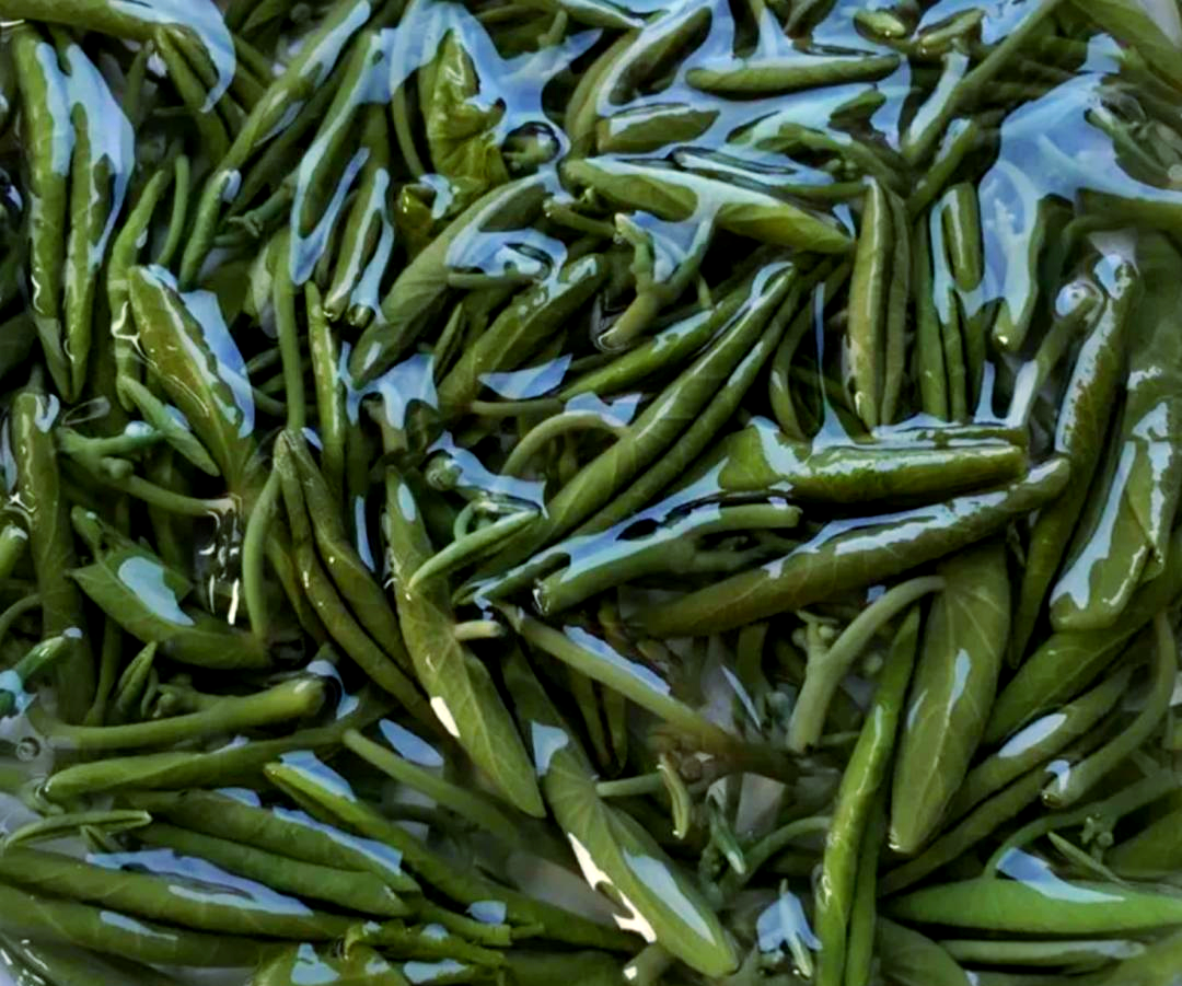 选购莼菜的小贴士选购莼菜时,有几个关键技巧可以帮助您挑选到优质的