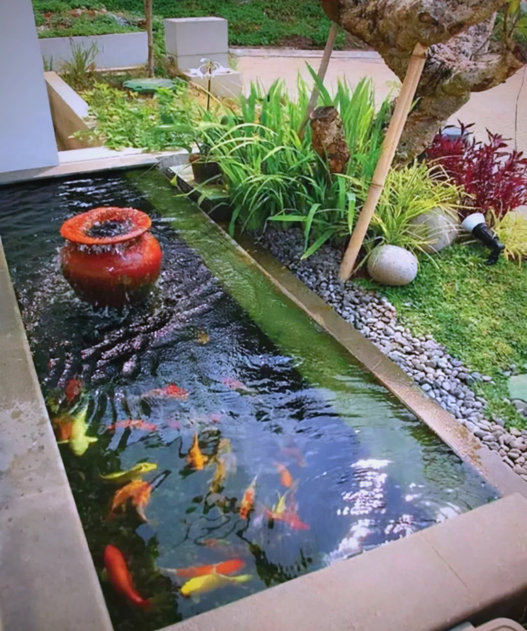 众多庭院鱼池设计案例,值得一试