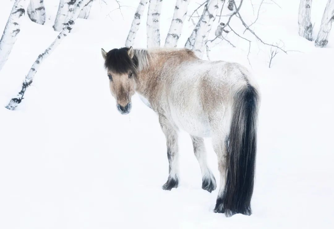 人物 | 2022上海国际摄影节 专访(十八)刘开明