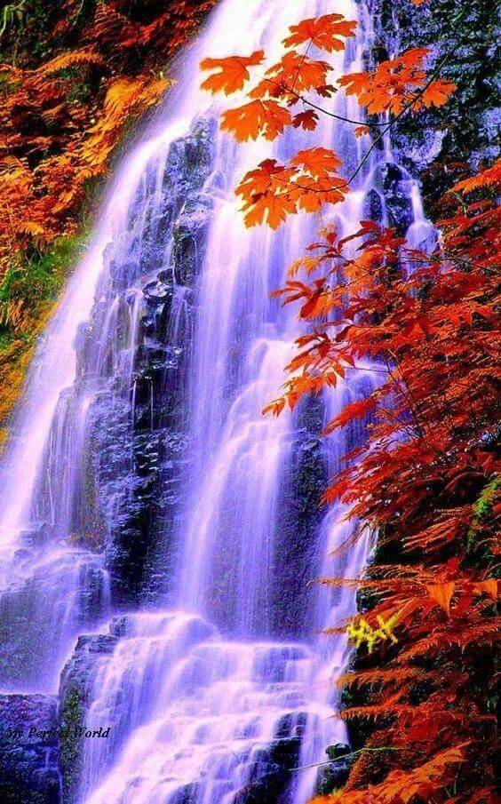 「美图欣赏」漂亮的图片,美到窒息!