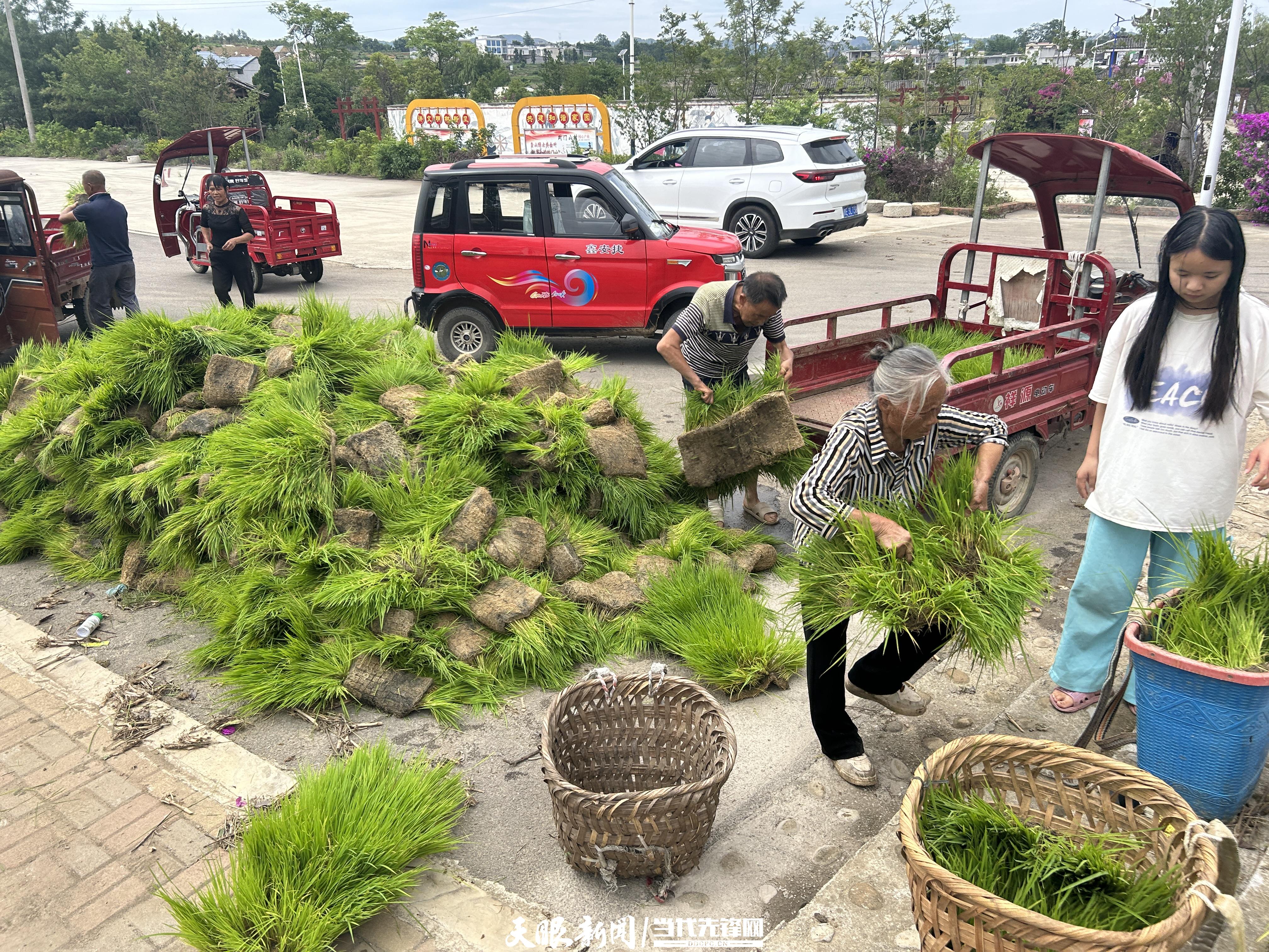 贞丰高龙坡通用机场图片