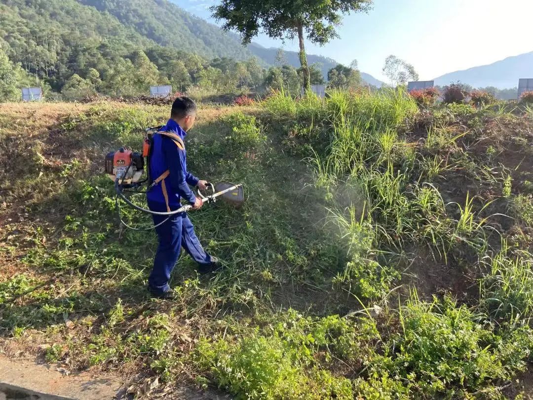 营区绿化齐整治 美好环境共创造 营区绿化齐整治 美好环境共创造