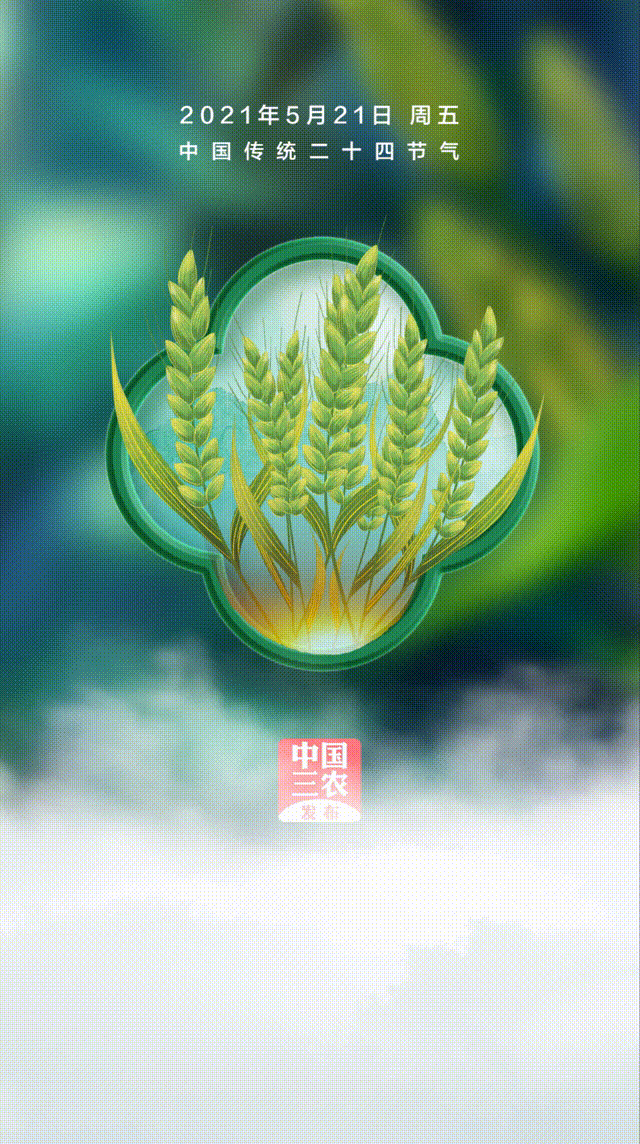 (长按图片,保存农事历) 今日3时37分 迎来二十四节气之小满