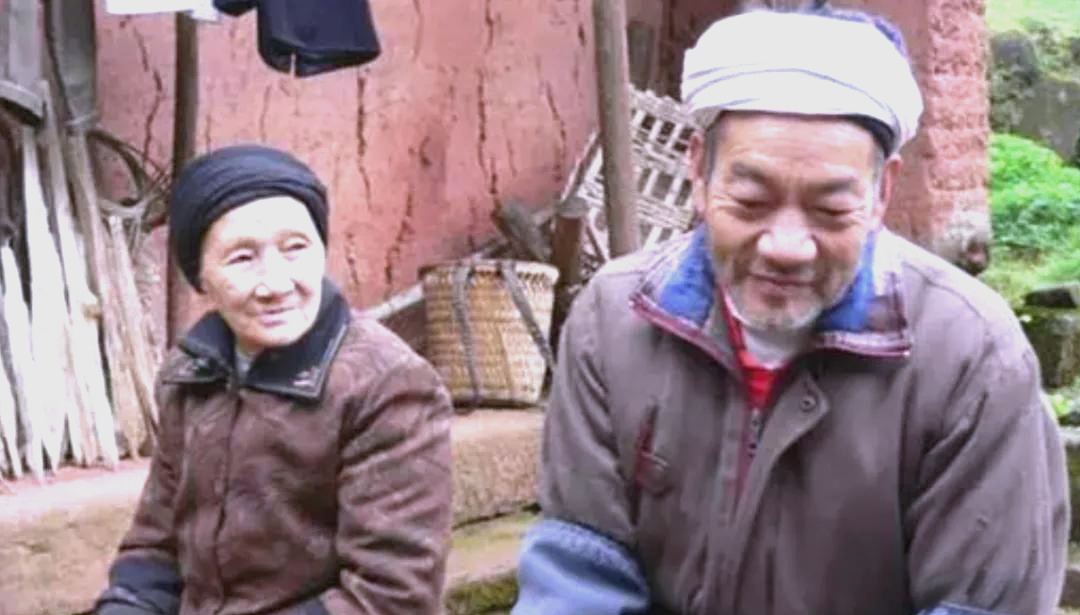 从邂逅到传世:刘国江与徐朝清的爱情传奇