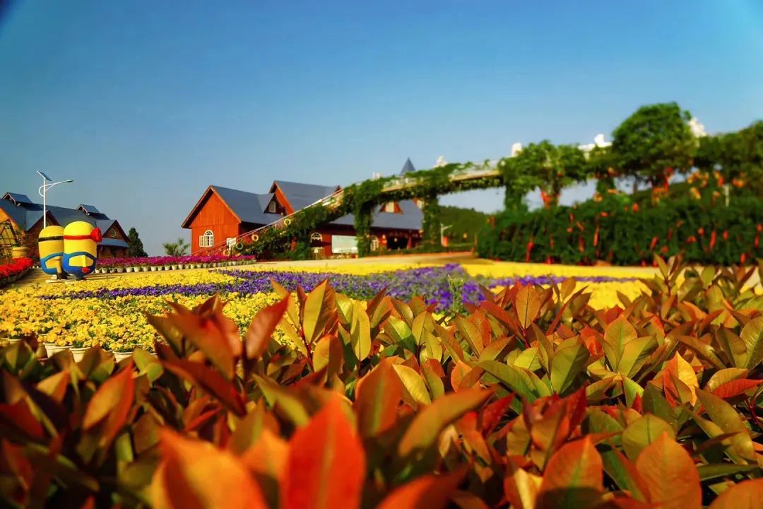 德阳中国香山·矮人王国震撼来袭!国庆花海旅游节!