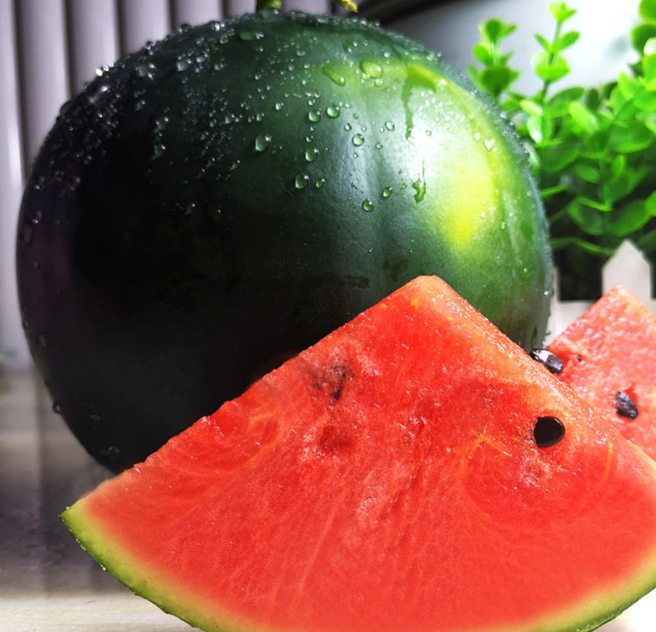 两毛一斤的水果之王,黑皮瓜在20年前风靡一时,为何如今没人种?