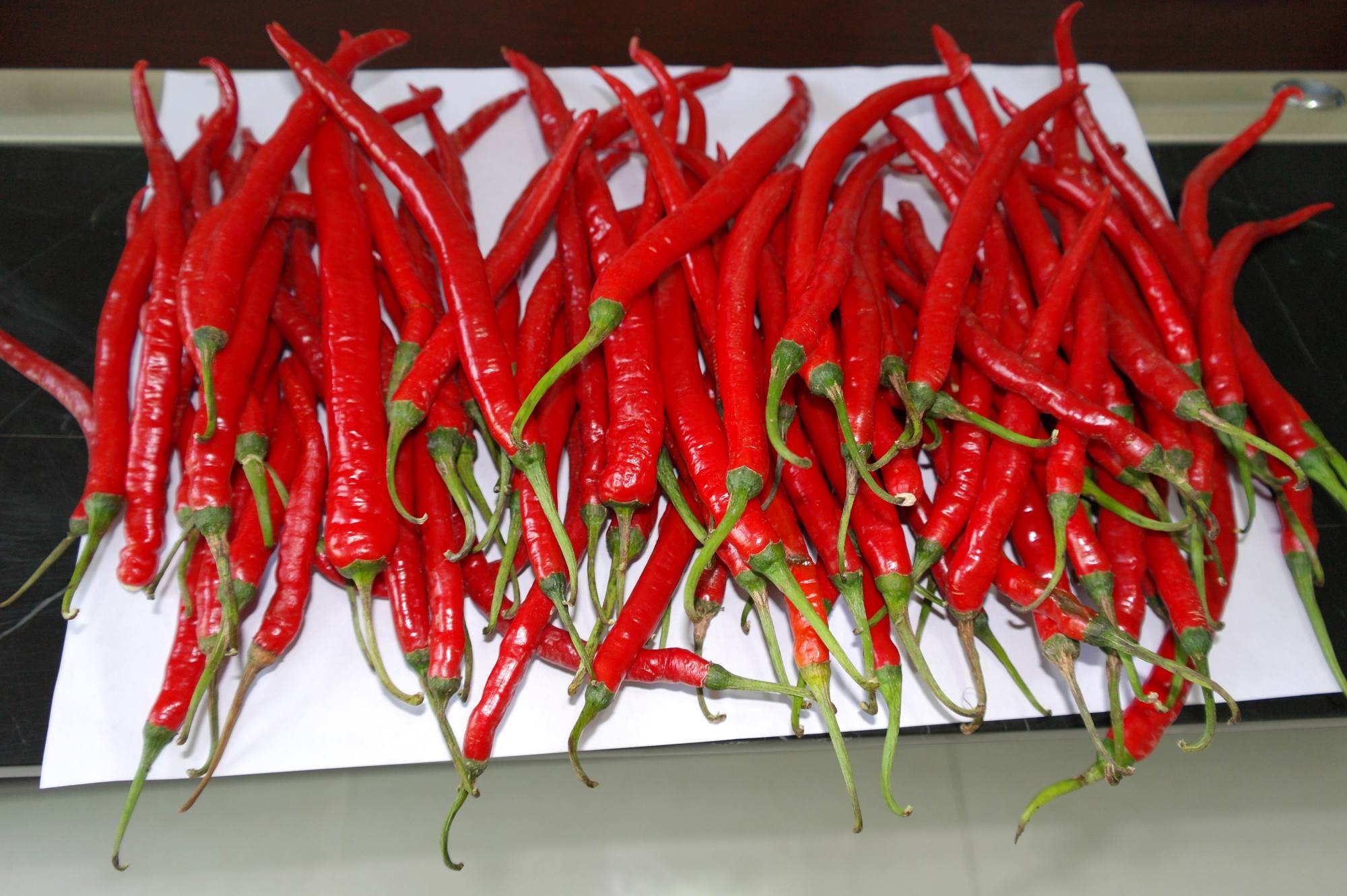 五线城市红线椒售价21.98元一斤