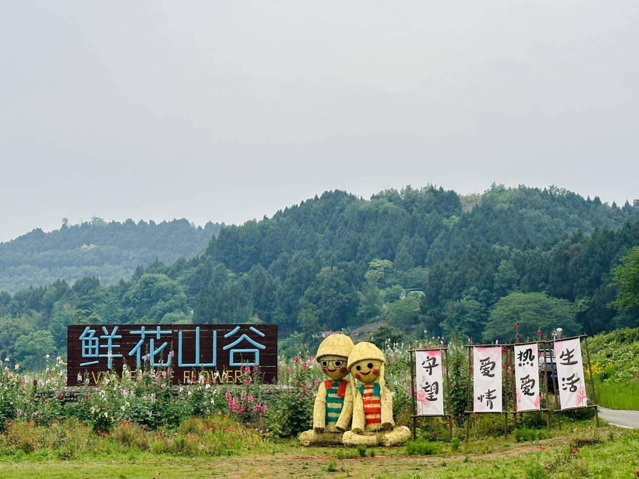 暑期到成都金堂打卡 抽取免费世园会门票