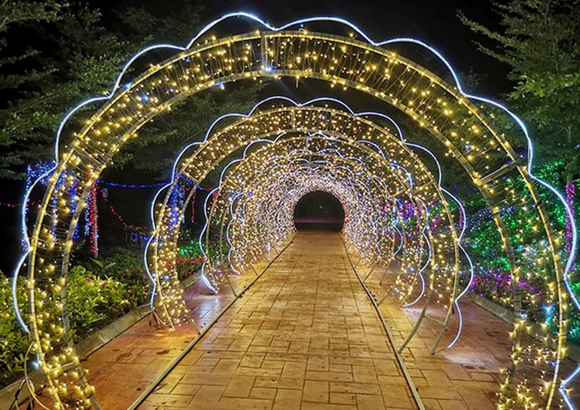 海南莲花山文化景区首届萤火虫灯光秀旅游文化节开幕