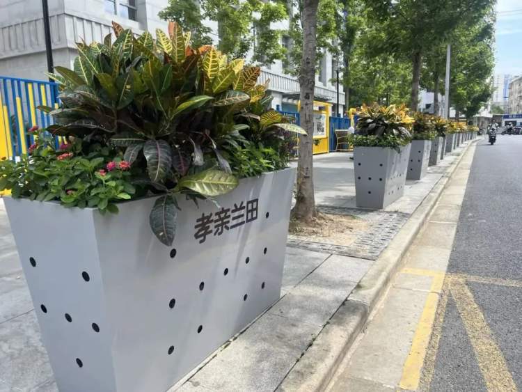 石泉路街道丨让居民纷纷点赞的社区微更新,就在这里