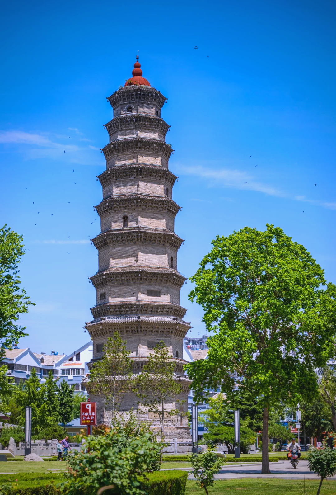 滕州:7500年文明与现代交融的城市活力