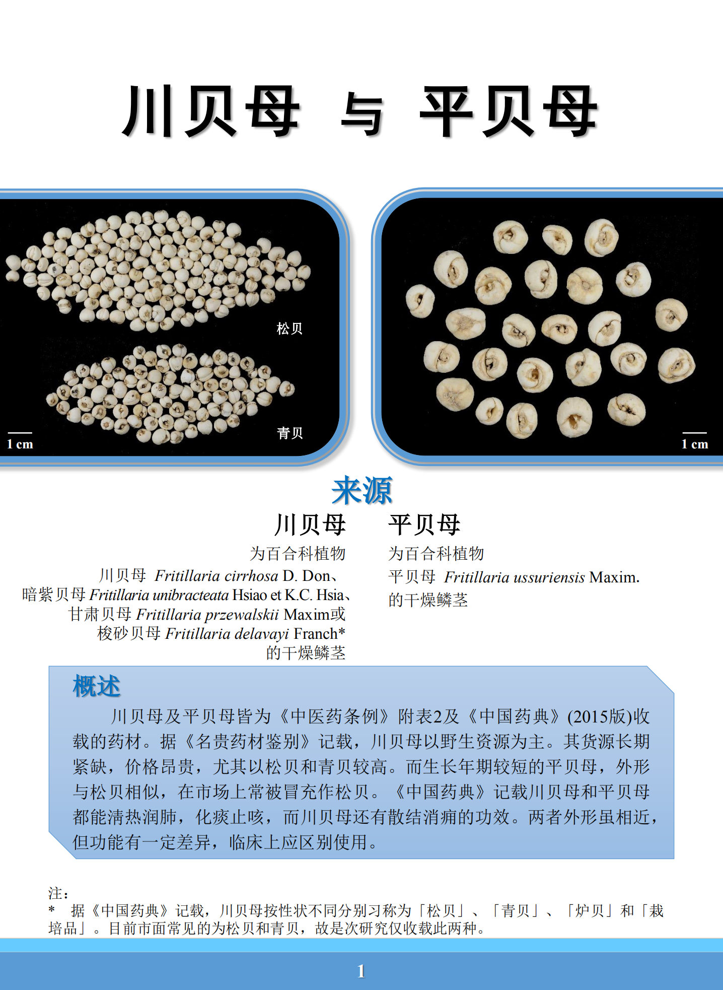 藏贝母真假辨别图片图片