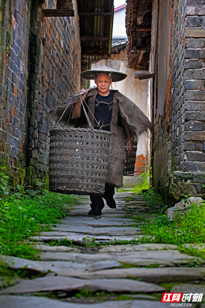 品茶香 探茶道 听茶歌 临湘聂市镇青砖茶的故事越讲越精彩