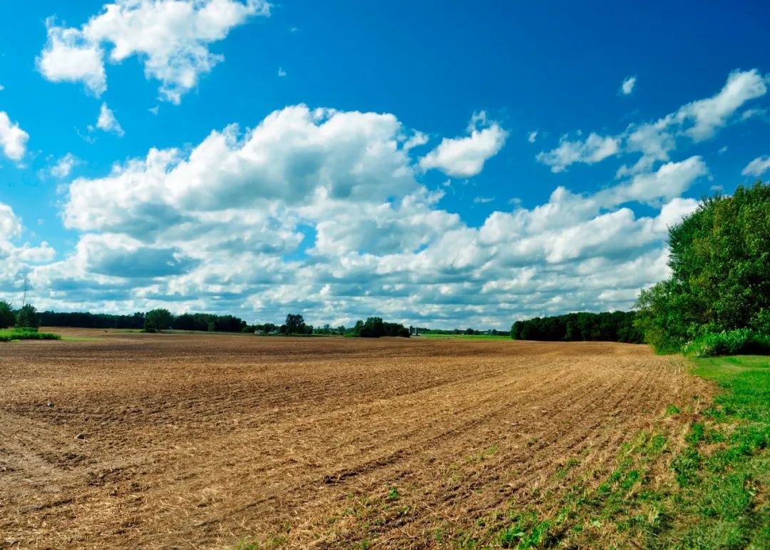 陈治胜:扛稳抓实保护耕地的责任担当