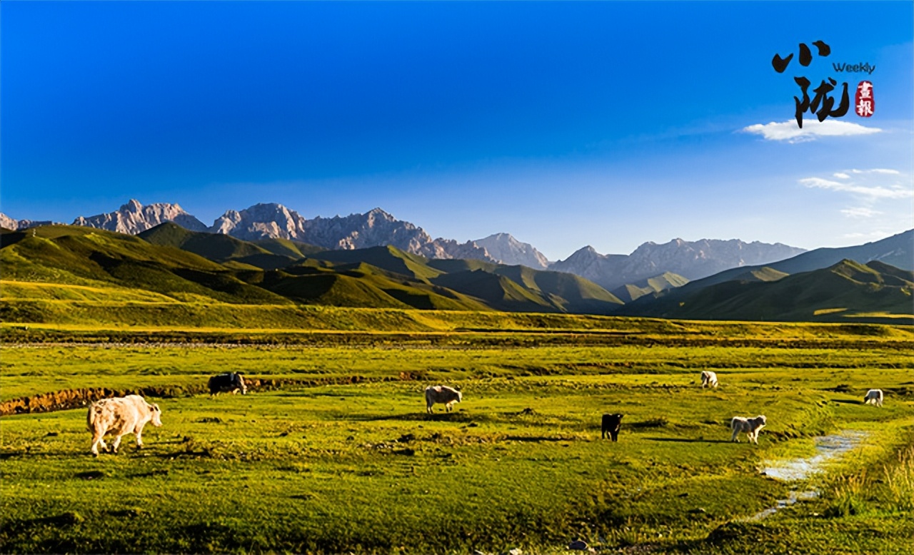 【中国甘肃网】马牙雪山:山瀑分云影 造化秘孤秀