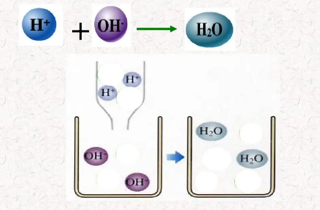 酸和碱反应生成什么