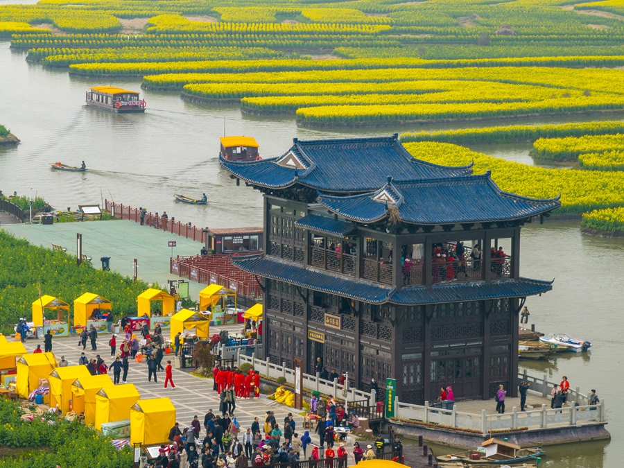 江苏水上油菜花田图片