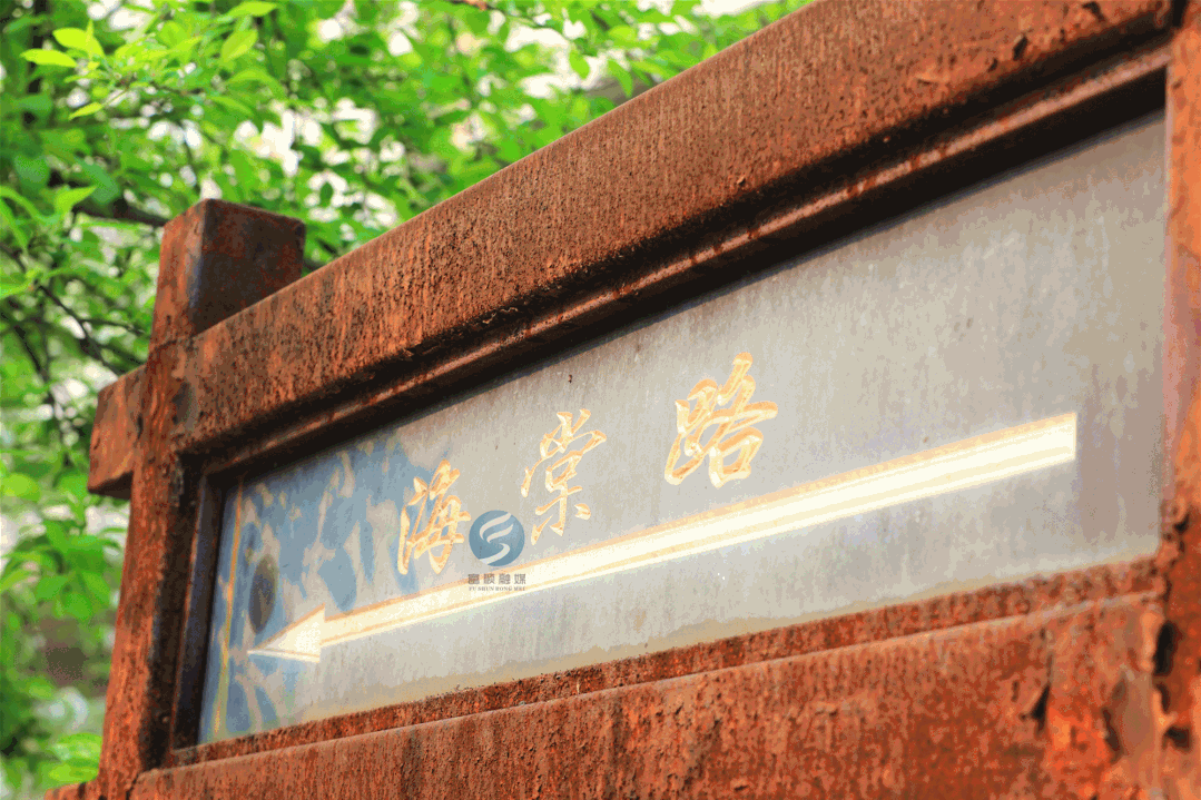 关于海棠书城最新入口海棠书城最新网址的信息