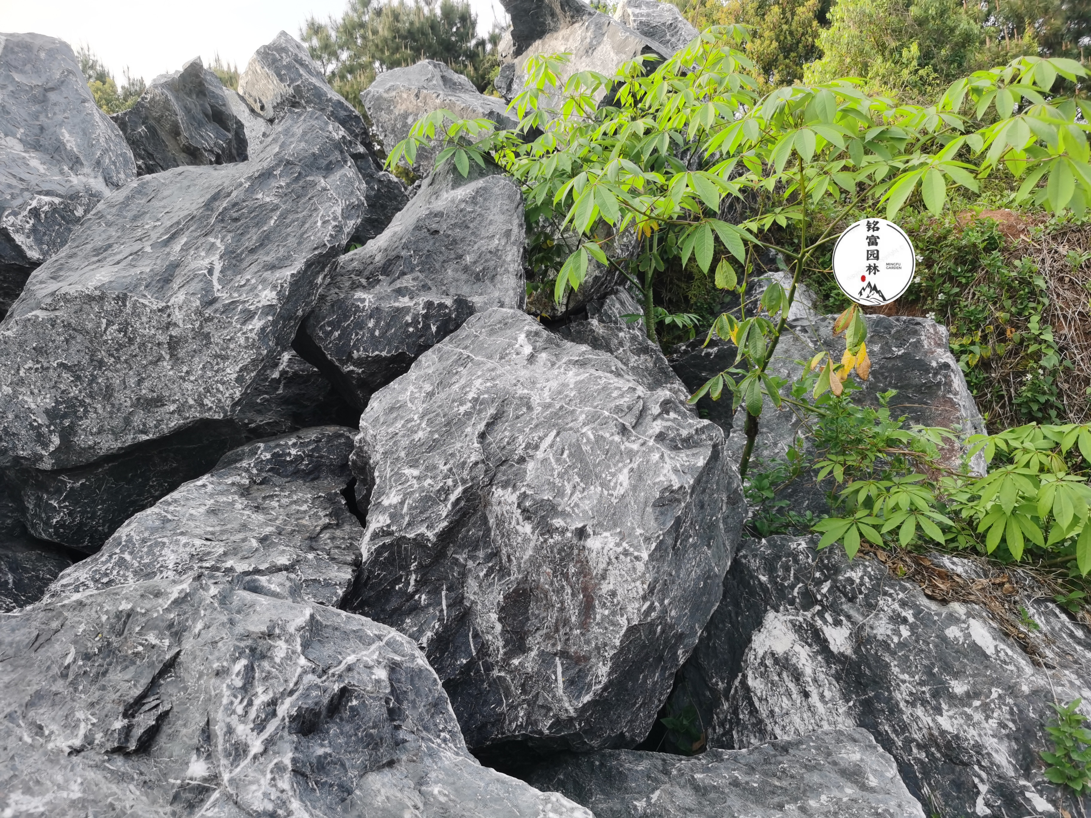 青海黑山石原石批发,青海黑山石每吨200元,天然的黑山石图片