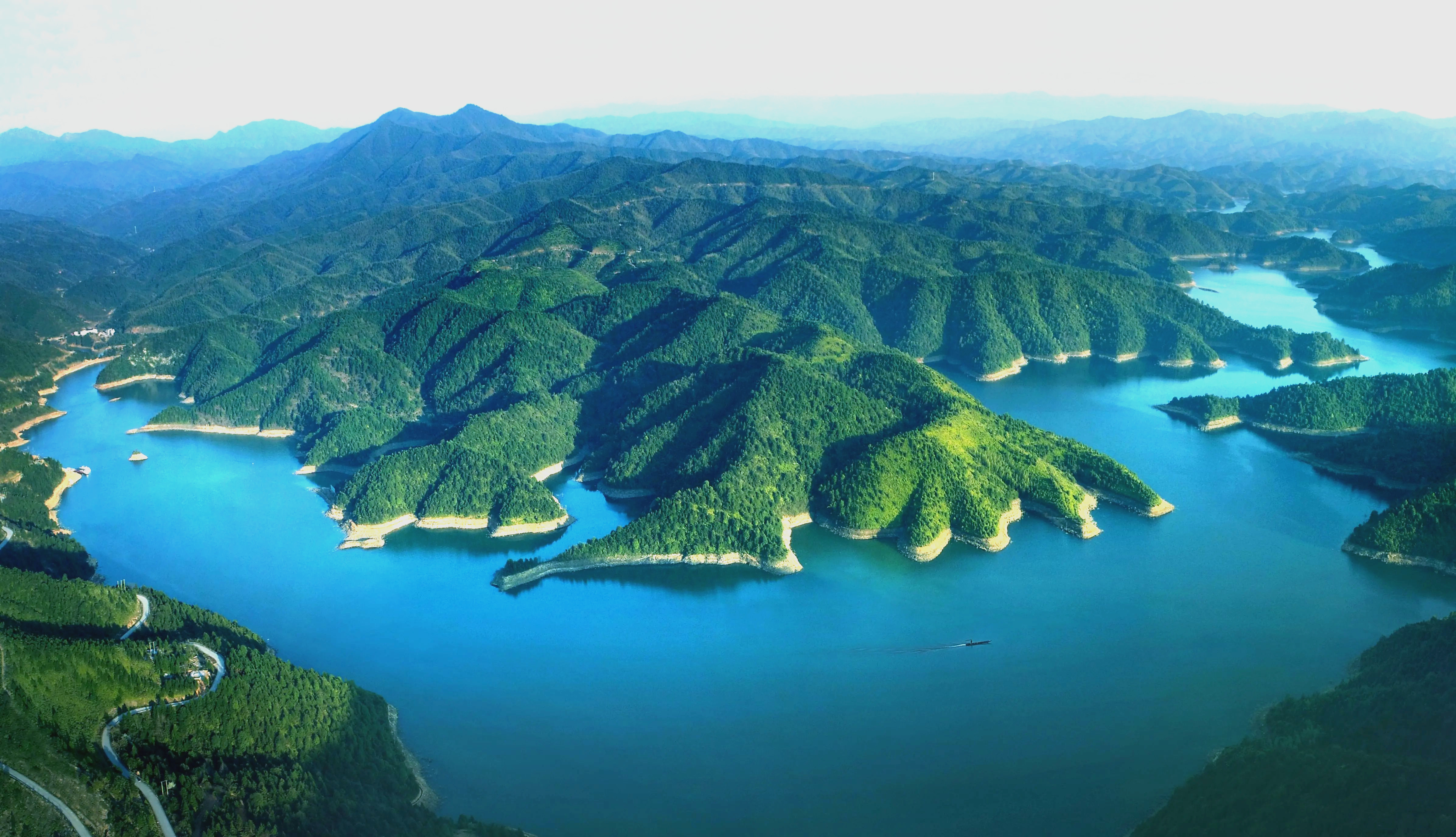 中华倒刺鲃重焕生机,茶陵山川再现珍馐美味