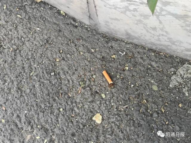 曝光台|公共场所乱丢烟头现象成顽疾