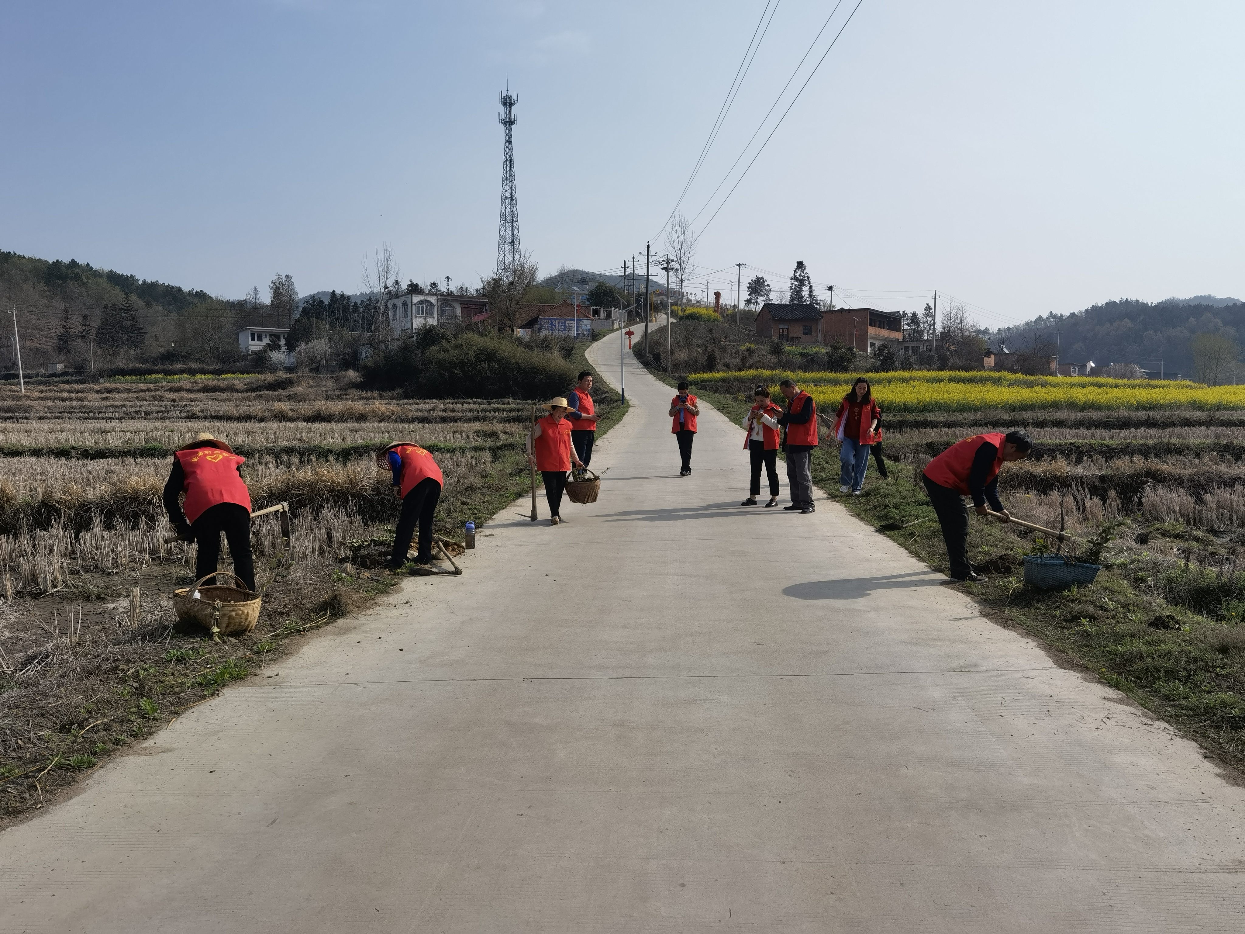 商城县苏仙石乡:植树造林美了环境 富了百姓