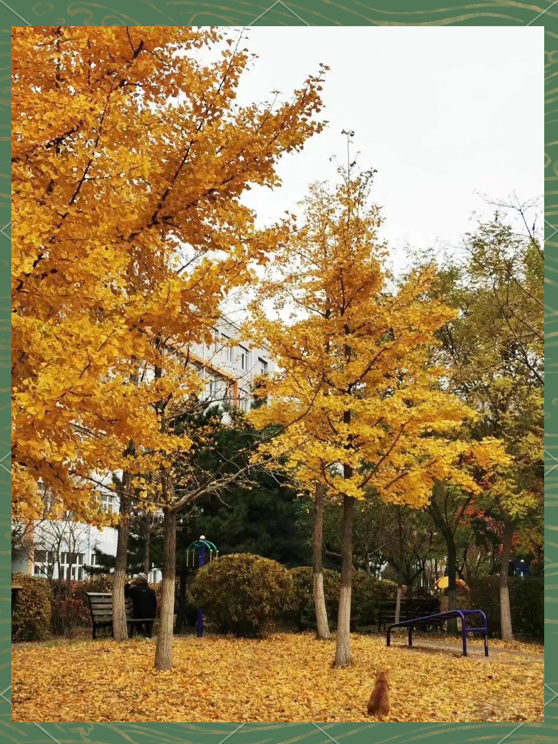 沈阳大学四季风光:镜头下的校园美景