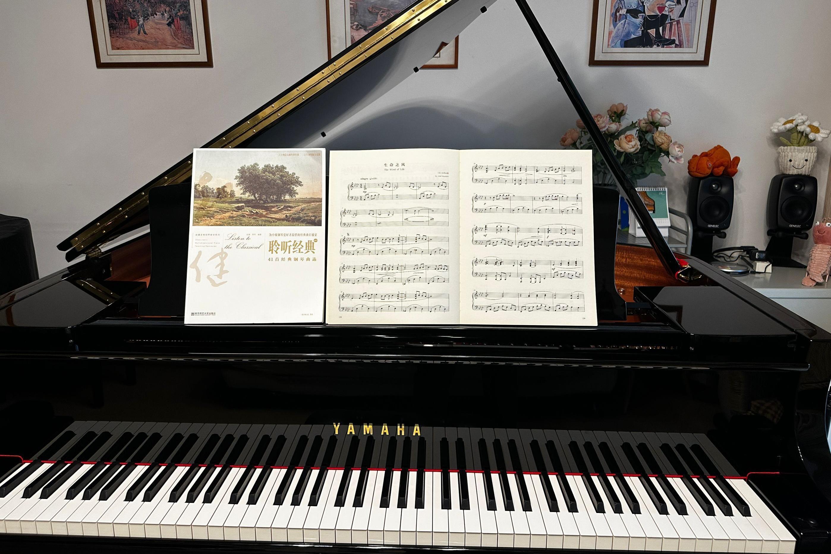 钢琴演奏经典英文歌曲:《sailing(航行)》(演奏:赵健)