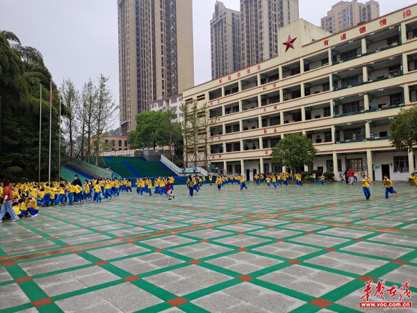 锦溪小学图片