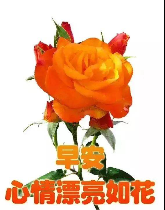 5月20日 看见那光 周四早上好特漂亮动态祝福图片,暖心的早上好动态