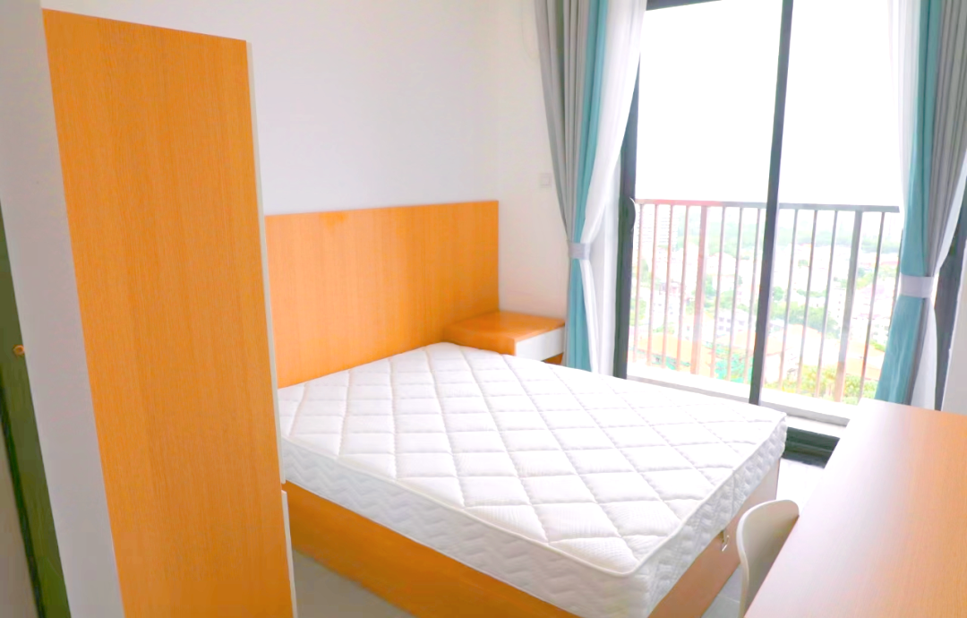 深圳市第二实验学校明远高中2024年教师招聘公告