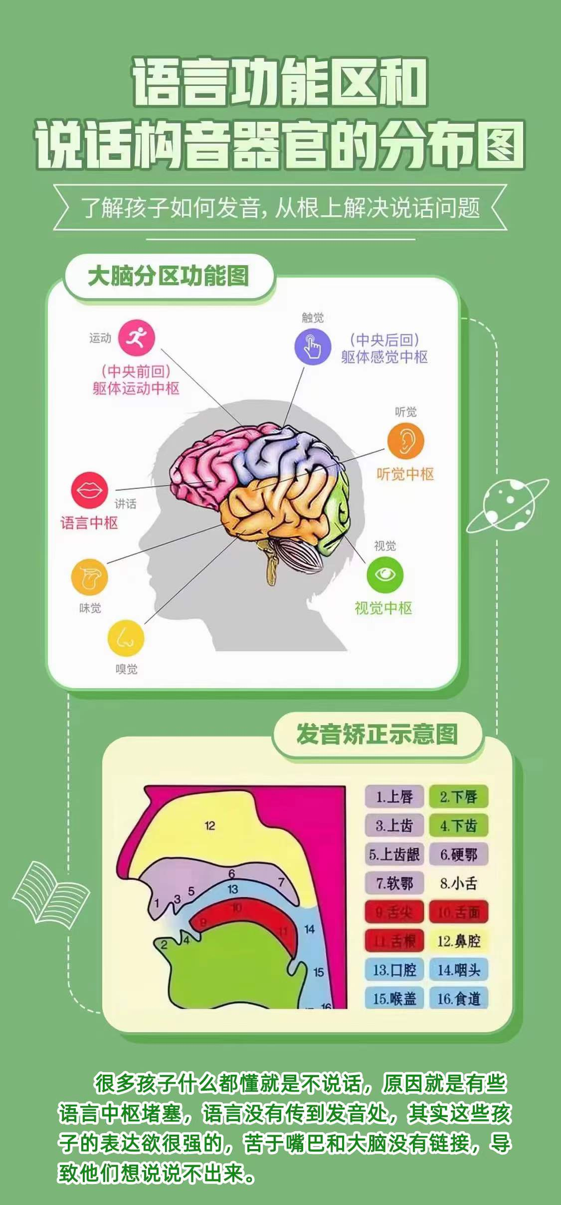 头针语言中枢图片