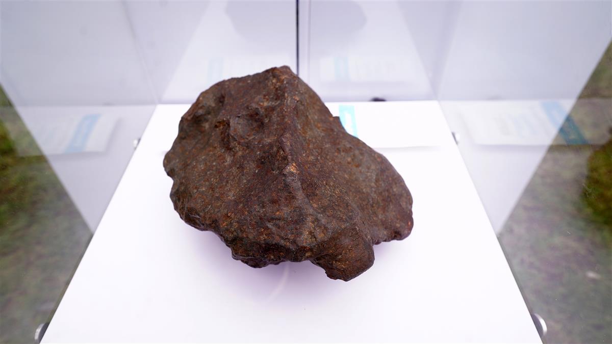 �����������ʯ�걾��80��������������࣬��һ�������人ֲ��԰׷�����֮�⡱