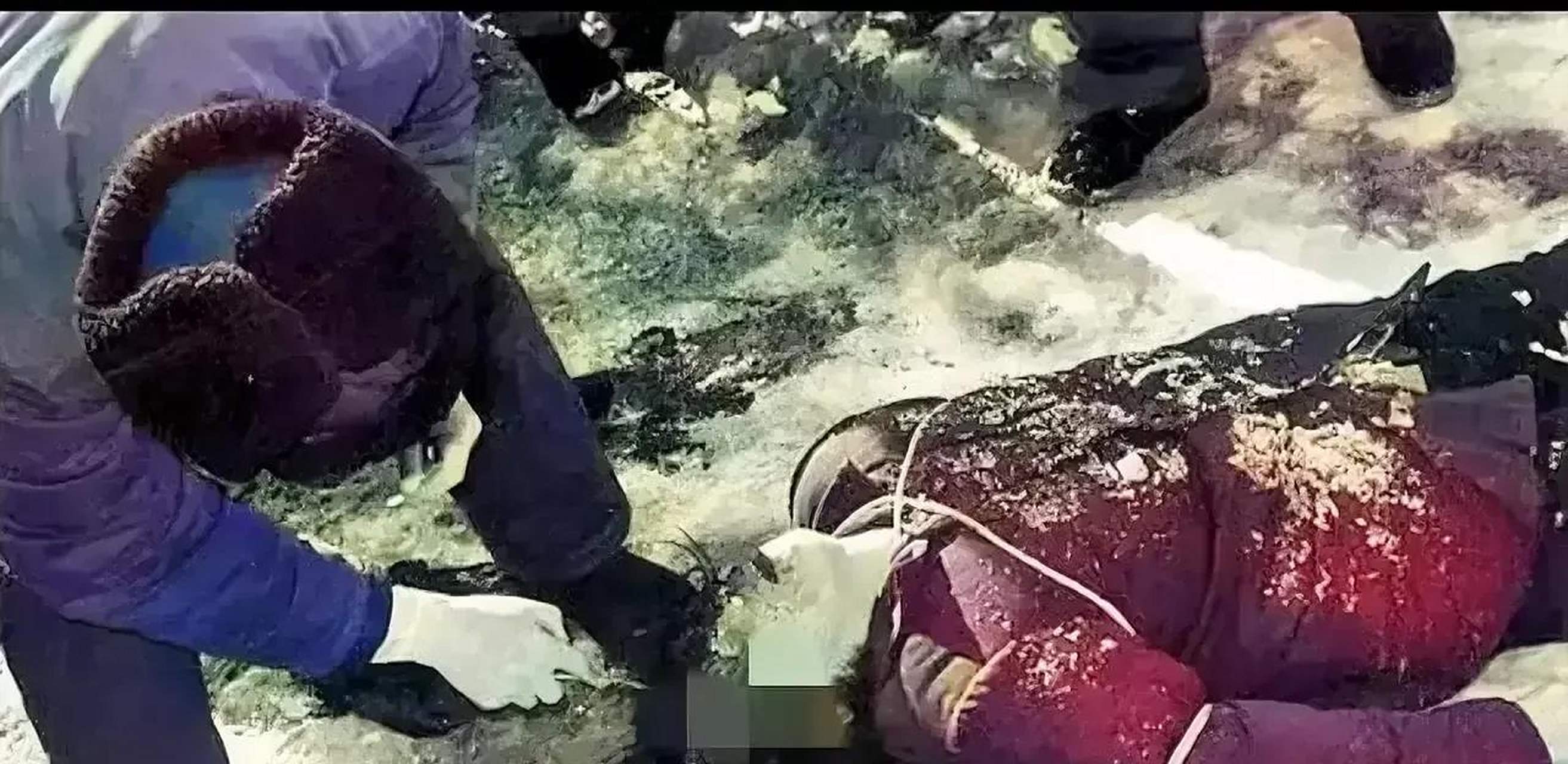 上世纪80年代,哈尔滨郊外刑场白雪皑皑,一名女死刑犯