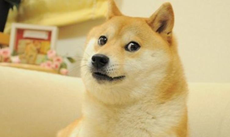 微信吃掉狗头表情包图片
