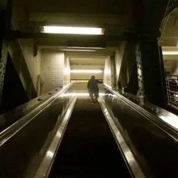 南京"毒王",令450万人努力毁于一旦!