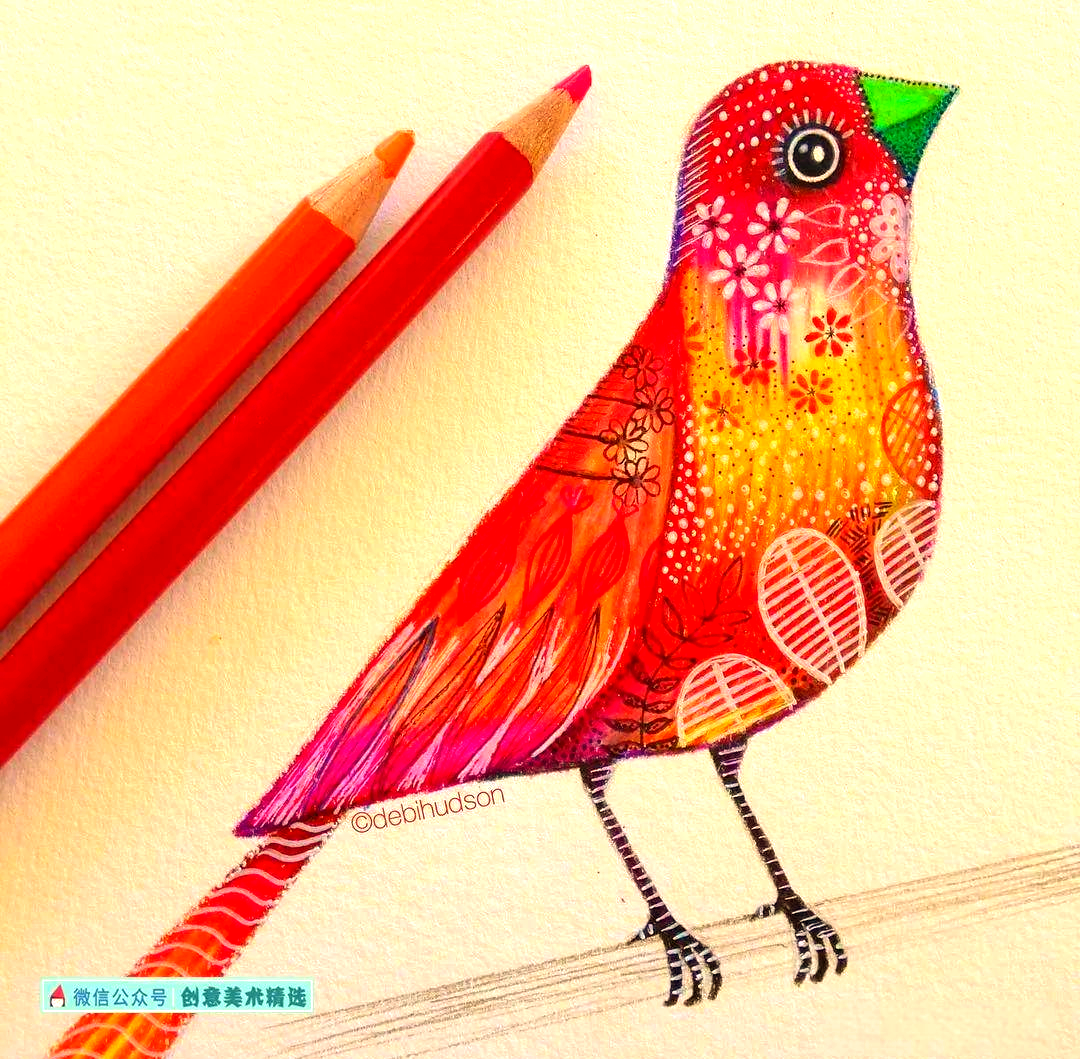 飞鸟集——众多独特的鸟类主题创意插画