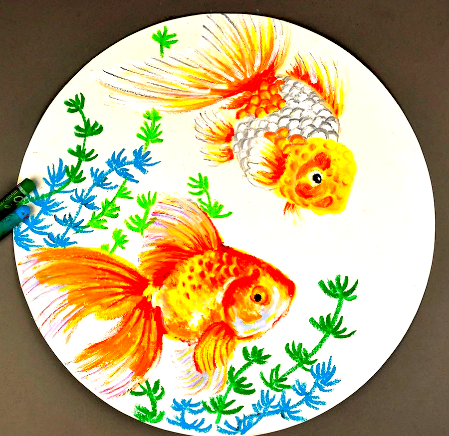 绘画指南:探索油水分离技巧,描绘金鱼的彩色世界
