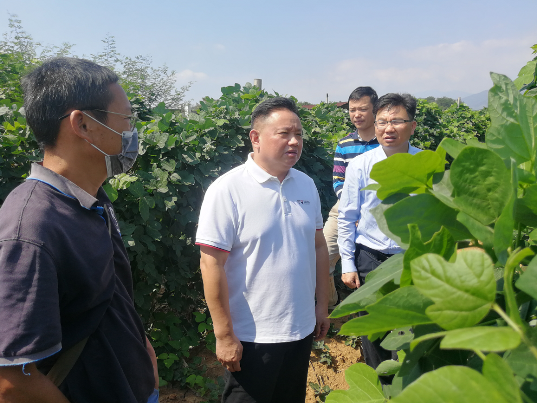 黄建华:全面扎实做好巡视"后半篇文章"