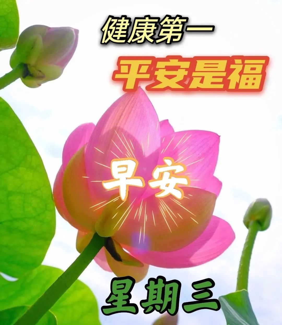 周三早上好祝福图片 最新温馨早上好短信问候语