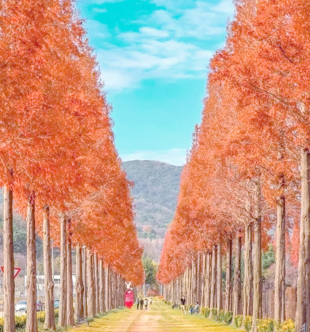 秋景拍摄教程摄影，技巧大全