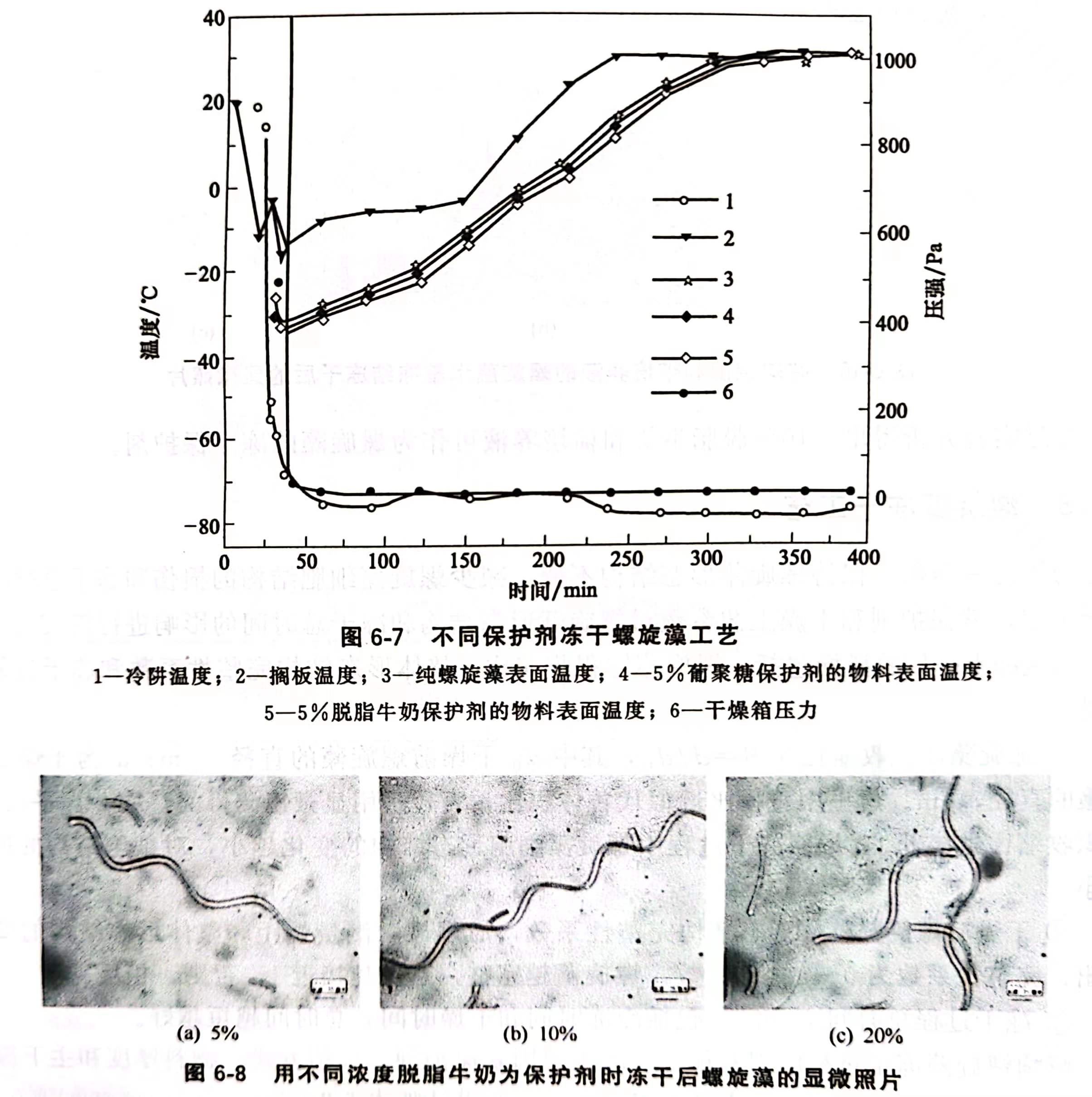 螺旋藻细胞结构图图片