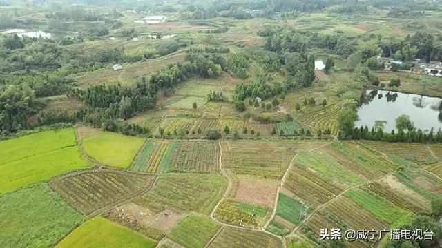 百亩 baijiahao.baidu.com